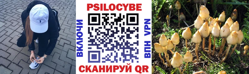 Псилоцибиновые грибы Magic Shrooms  дарнет шоп  Собинка 